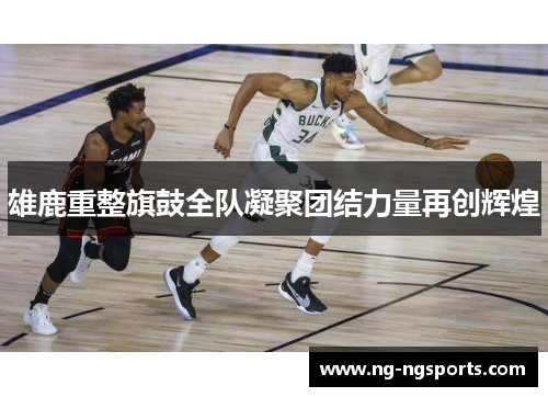 雄鹿重整旗鼓全队凝聚团结力量再创辉煌