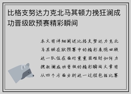 比格支努达力克北马其顿力挽狂澜成功晋级欧预赛精彩瞬间