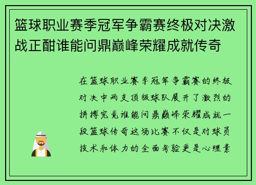 篮球职业赛季冠军争霸赛终极对决激战正酣谁能问鼎巅峰荣耀成就传奇