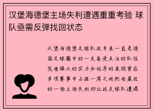汉堡海德堡主场失利遭遇重重考验 球队亟需反弹找回状态